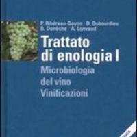 Trattato di enologia 1 e 2
