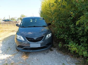 Ypsilon ecochic