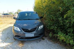 Ypsilon ecochic
