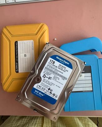 Hard disk SATA 1Tb WD