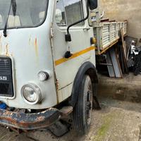 Ricami tigrotto 55 ribaltabile