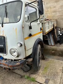 Ricami tigrotto 55 ribaltabile