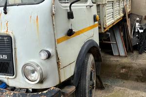 Ricami tigrotto 55 ribaltabile