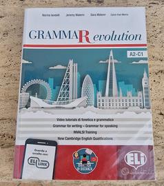 Grammar evolution