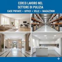 Lavoro di pulizia in case private, uffici