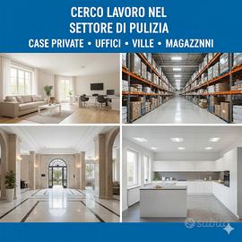 Lavoro di pulizia in case private, uffici