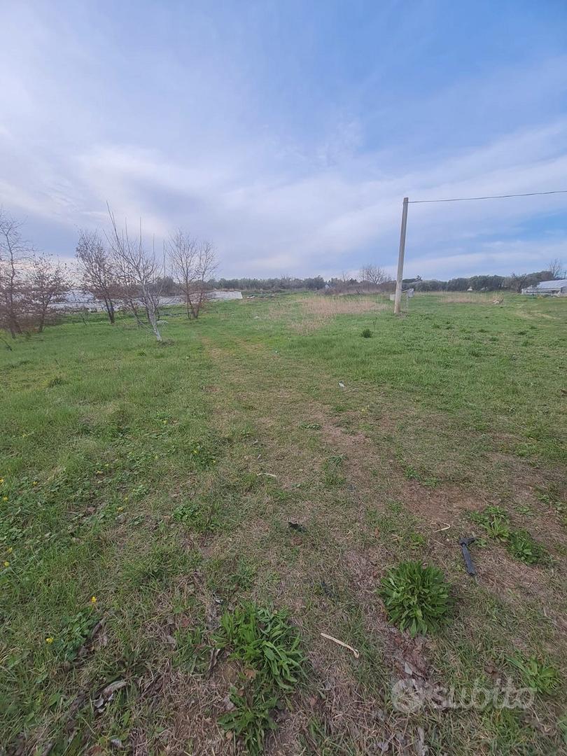 Terreno c.da san giovanni - francavilla al m - Vista 5