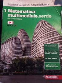 matematica multimediale.verde 1