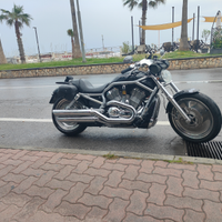 HD V-ROD vrsca