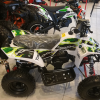 Miniquad 50 telaio grande
