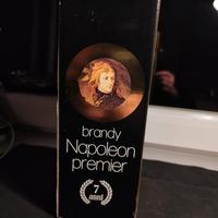 Brandy Napoleon Premier 7 anni
