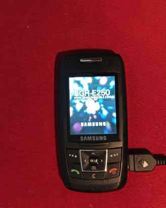 Cellulare Samsung SGH E250