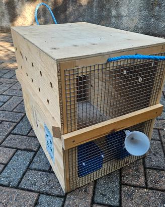 trasporto cani e gatti- gabbia in legno