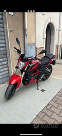 Benelli 251