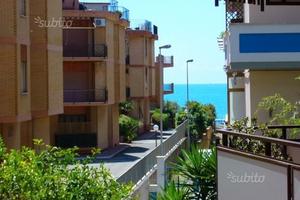 Nettuno. 1 minuto dal mare