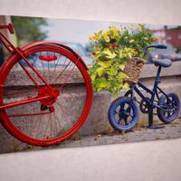 Stampa su tela / Quadro