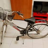 Bici MBM