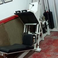 leg press