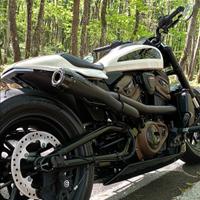 Harley Davidson sportster s 