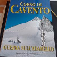 "Corno di Cavento: Guerra sull'Adamello"