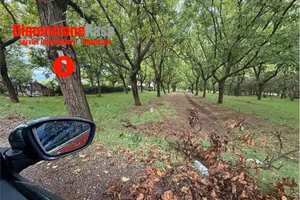 Terreno di 6700 m² a Cicciano