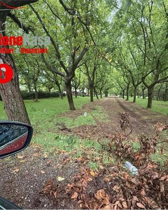 Terreno di 6700 m² a Cicciano