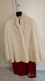 visone chiaro di luna