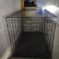 kennel 