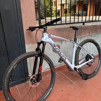 MTB mountain bike SAVA carbonio