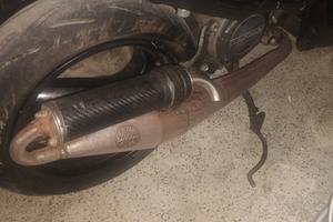 marmitta Leovincie TT