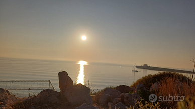 Libera dal 24 agosto disponibile settembre e lug