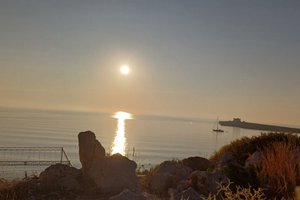 Libera dal 24 agosto disponibile settembre e lug