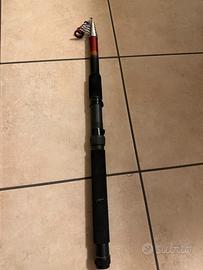 Canna da pesca Daiwa