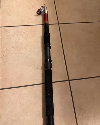 Canna da pesca Daiwa