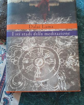 I sei stadi della meditazione del Dalai Lama