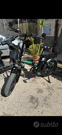 Bici elettrica pedalata assistita