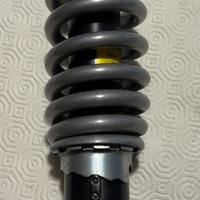 Monoammortizzatore Ducati scrambler