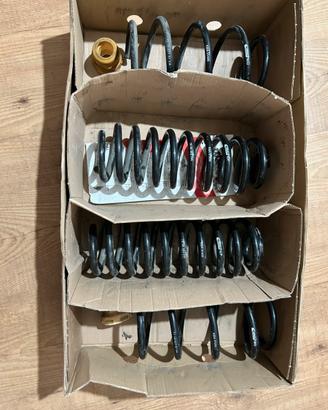 Molle eibach vw/audi/seat