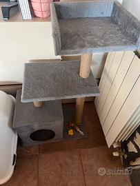 tiragraffi per gatti