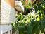 Immagine 12