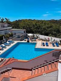Multiproprietà Ischia Forio - Loc. Panza