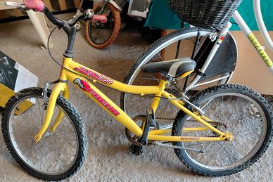 Biciclette poco usate prezzo da definire 