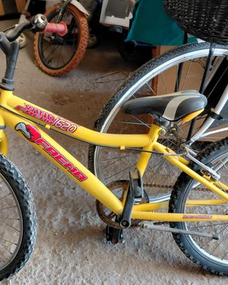 Biciclette poco usate prezzo da definire 