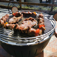 Lotus Grill XL