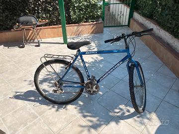 Bici da passeggio