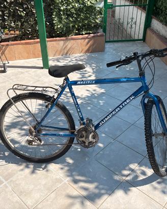 Bici da passeggio