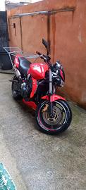 Honda hornet