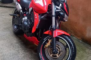 Honda hornet
