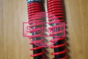 Ammortizzatori Gilera RUNNER 4T VESPA GTS piaggio