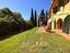 Immagine 19